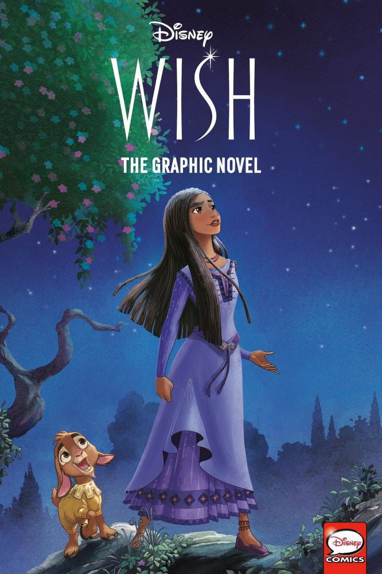 Disney Wish: the Graphic Novel (Paperback)