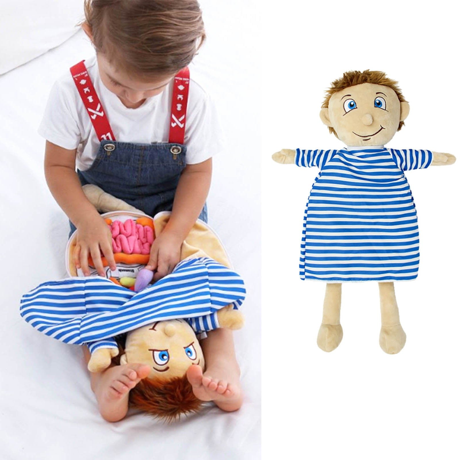 Early Education Toys Human Body Anatomy Toy Educational Science Learni