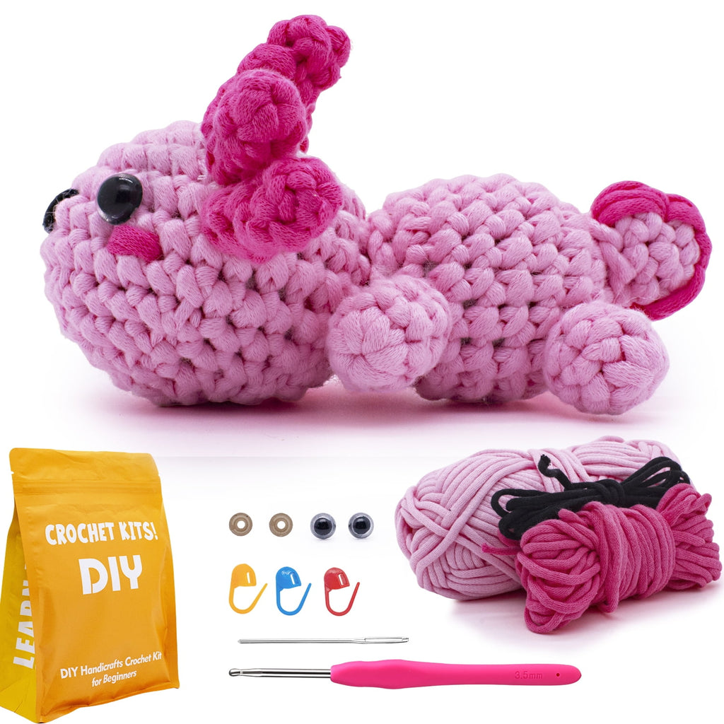 Fountwell Crochet Kits Clearance,Learn to Crochet Kit for Beginners; S