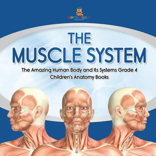 The Muscle System The Amazing Human Body and Its Systems Grade 4 Children's Anatomy Books - Paperback