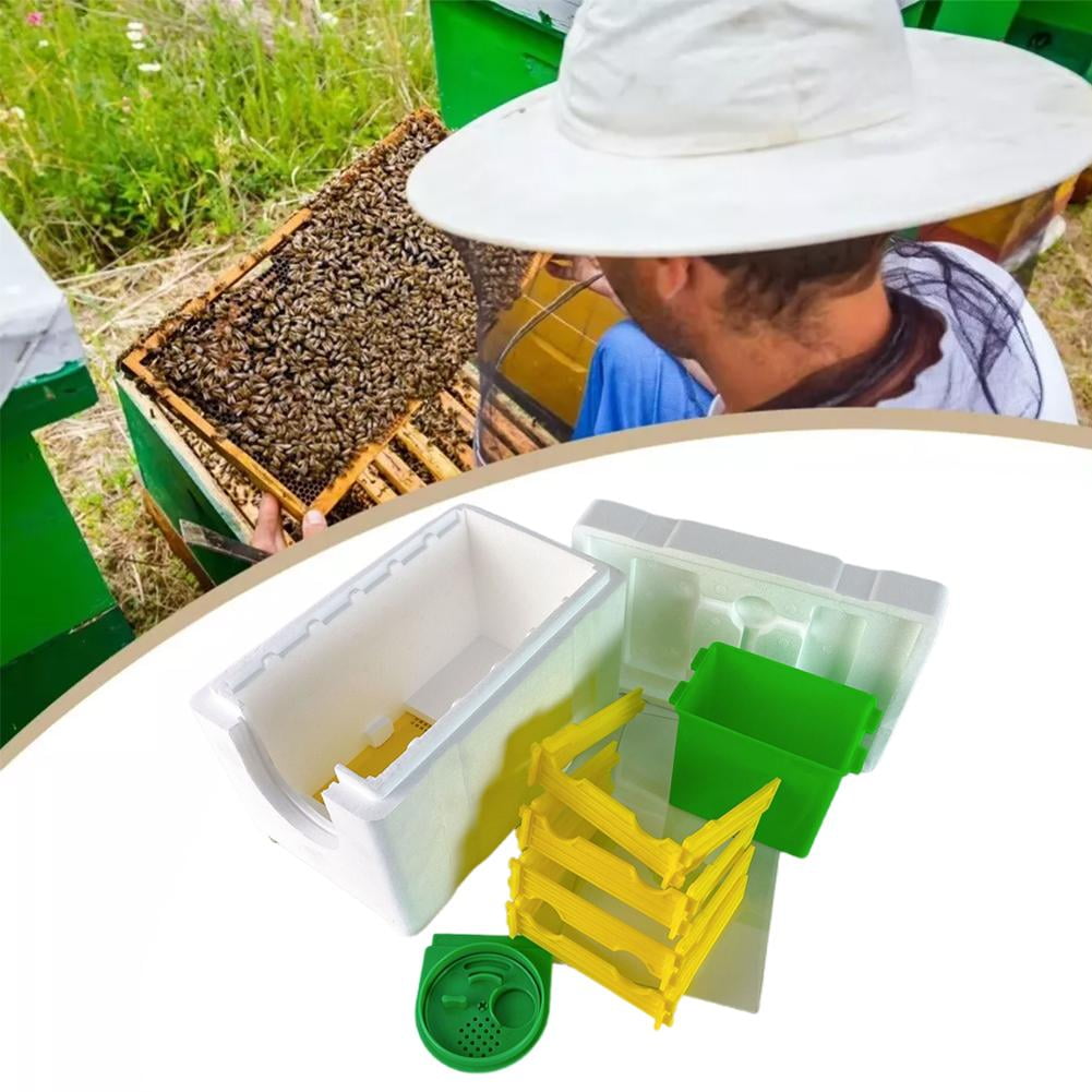 QHUDLV Mini Beehive Beekeeping Box Multi-Function Bee Hive Pollination