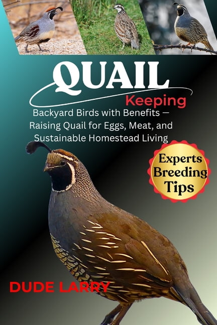 Quail Keeping: Backyard Birds with Benefits - Raising Quail for Eggs,