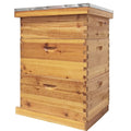 RJFKSNC 10-Frame Langstroth Beehive Kit, 3-Layer Beeswax Coated Bee Hi