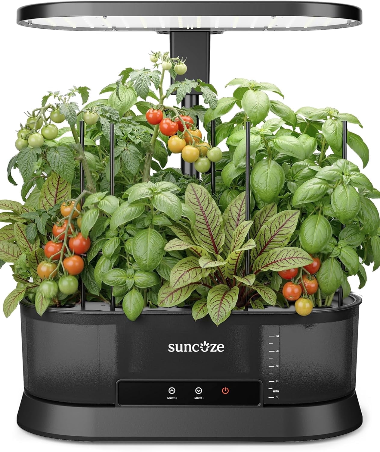 SUNCOZE Hydroponics Growing System with Removable Tank, 12 Pod Indoor