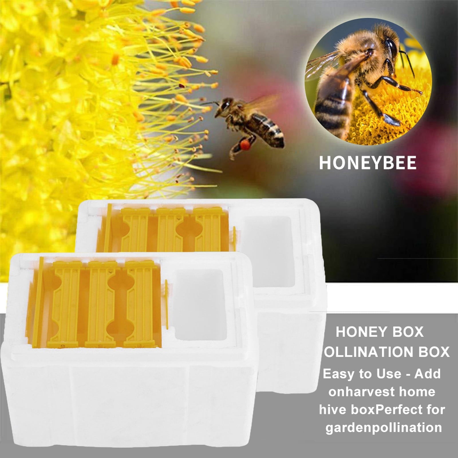 SeekLGT Queen Bee Hive Beekeeping Supplies Rearing Box Pollination Foa