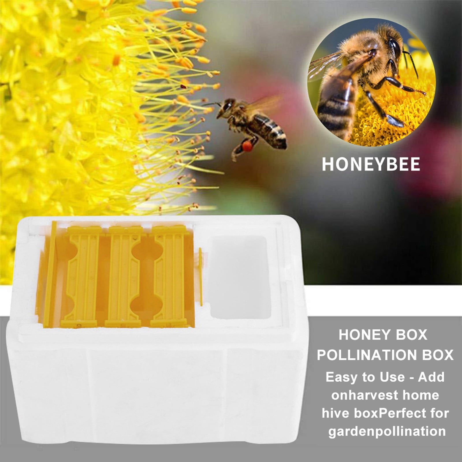 SeekLGT Queen Bee Hive Beekeeping Supplies Rearing Box Pollination Foa