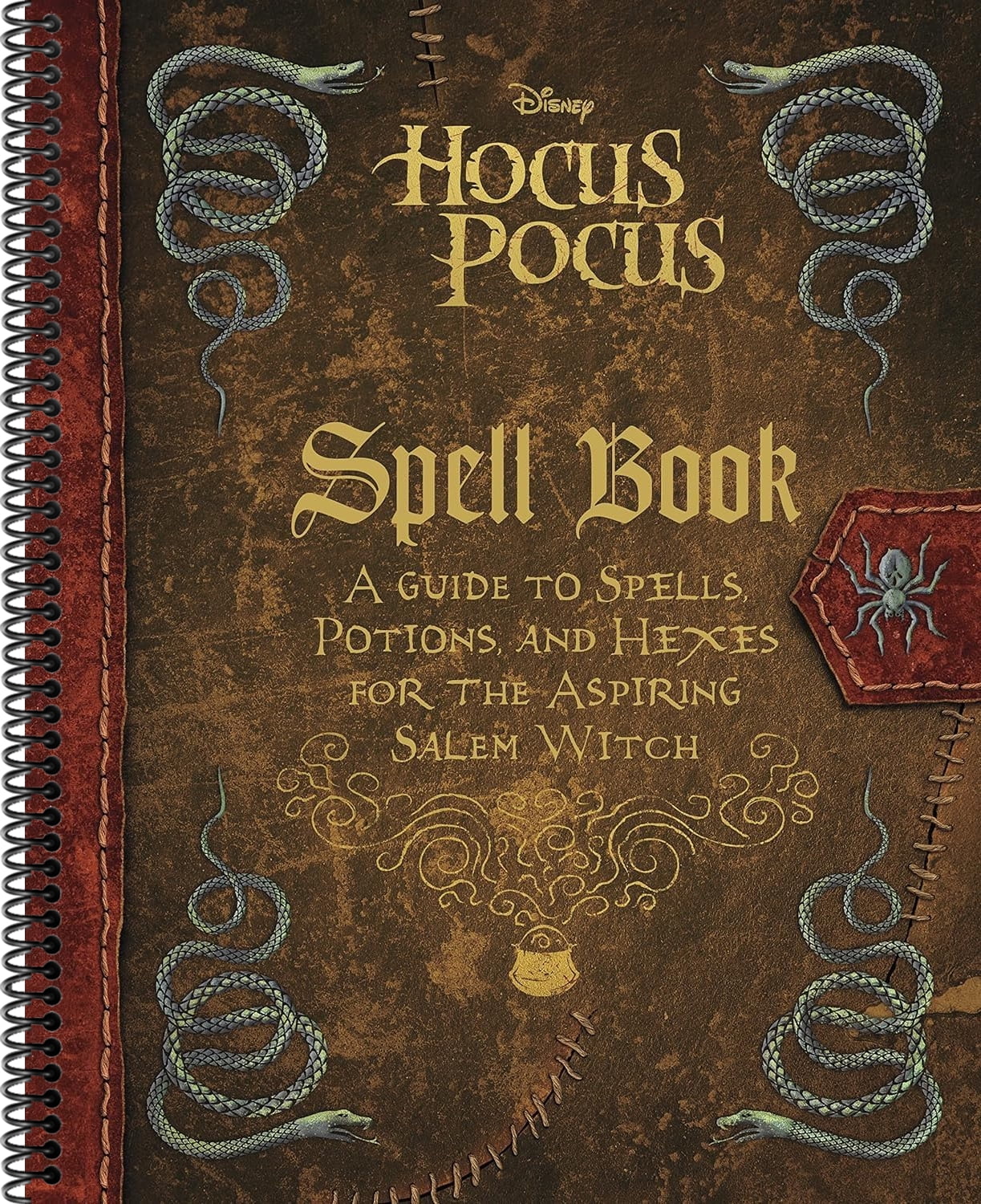 The Hocus Pocus Spell Book (Hardcover)