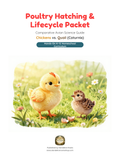 Poultry Hatching & Lifecycle Packet: Comparative Avian Science Guide — Chickens vs. Quail (Coturnix)