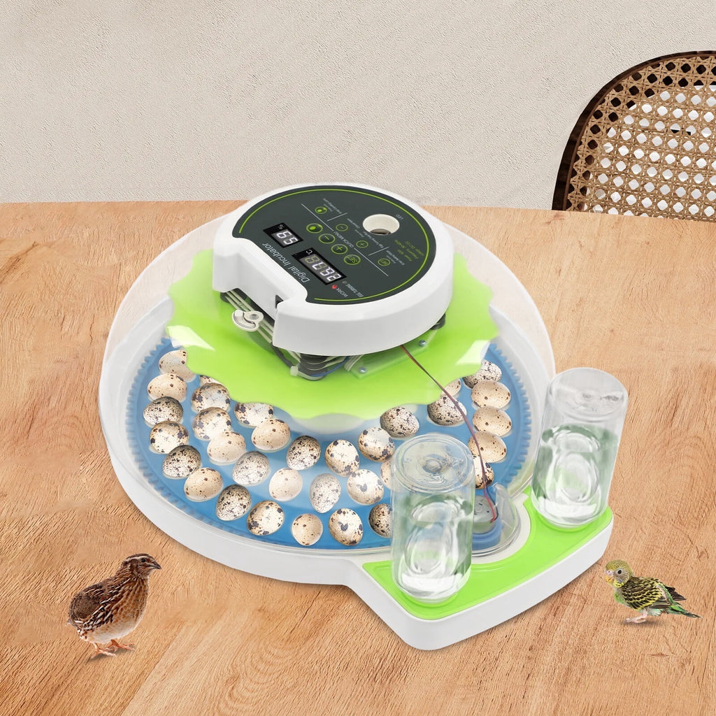 ToppiJoy 60 Quail Egg Incubator with LED Display & LED Light, 50-104°