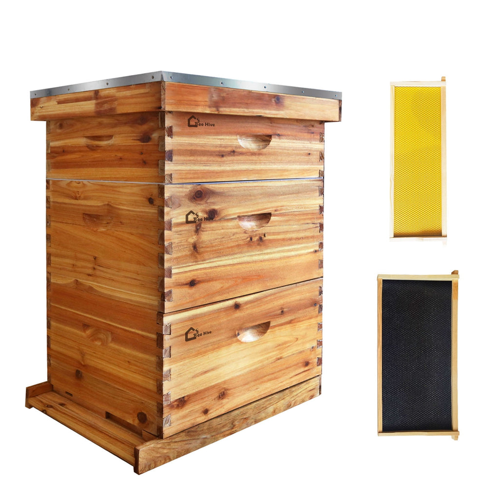 Ultimate Beekeeping Starter Kit with Cedar & Beeswax | Complete 10-Fra