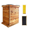 Ultimate Beekeeping Starter Kit with Cedar & Beeswax | Complete 10-Fra