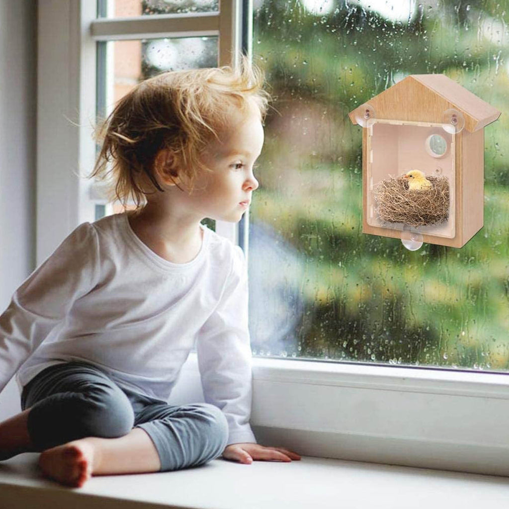 Window Birdhouse Paint Kit, DIY Clear Bird House With Suction Cups, Wo