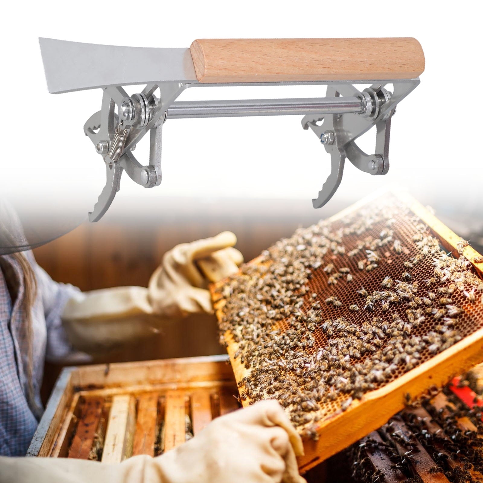 Beekeeping Frame Stainless Steel Bees Frame Holder Lifter Clip Hives F