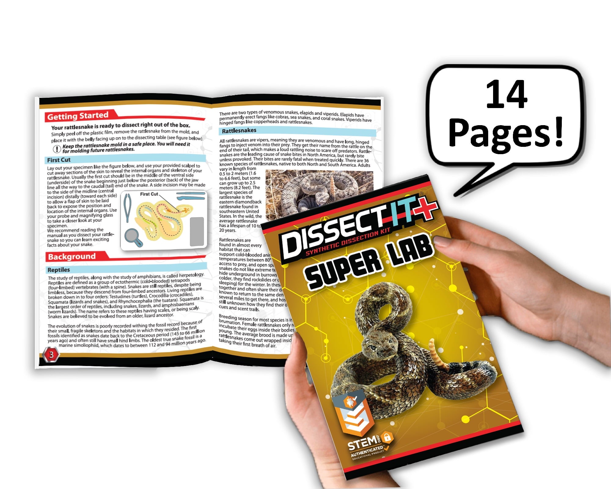 Dissect It Rattlesnake Superlab Dissection Kit for Kids, Realistic Ana