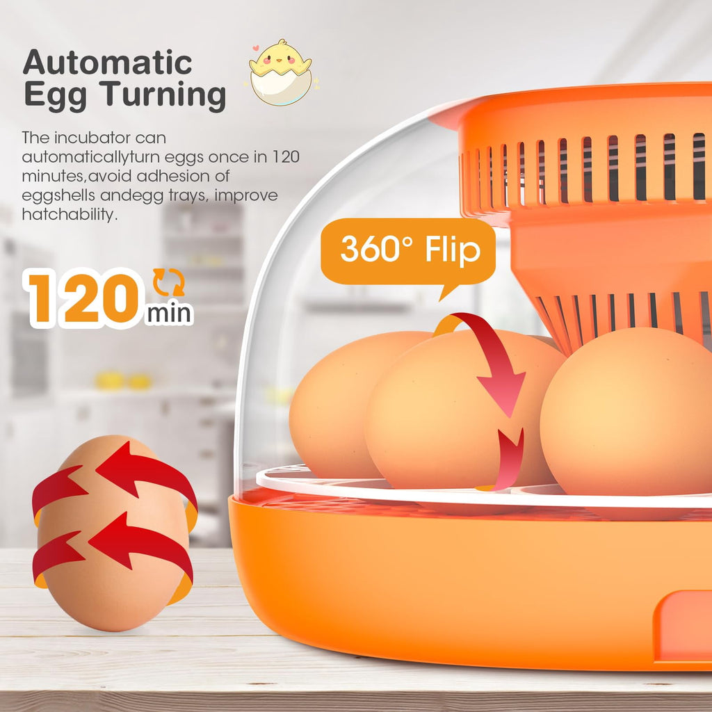 12 Egg Incubator with Automatic Egg Turning and Temperature Control, A
