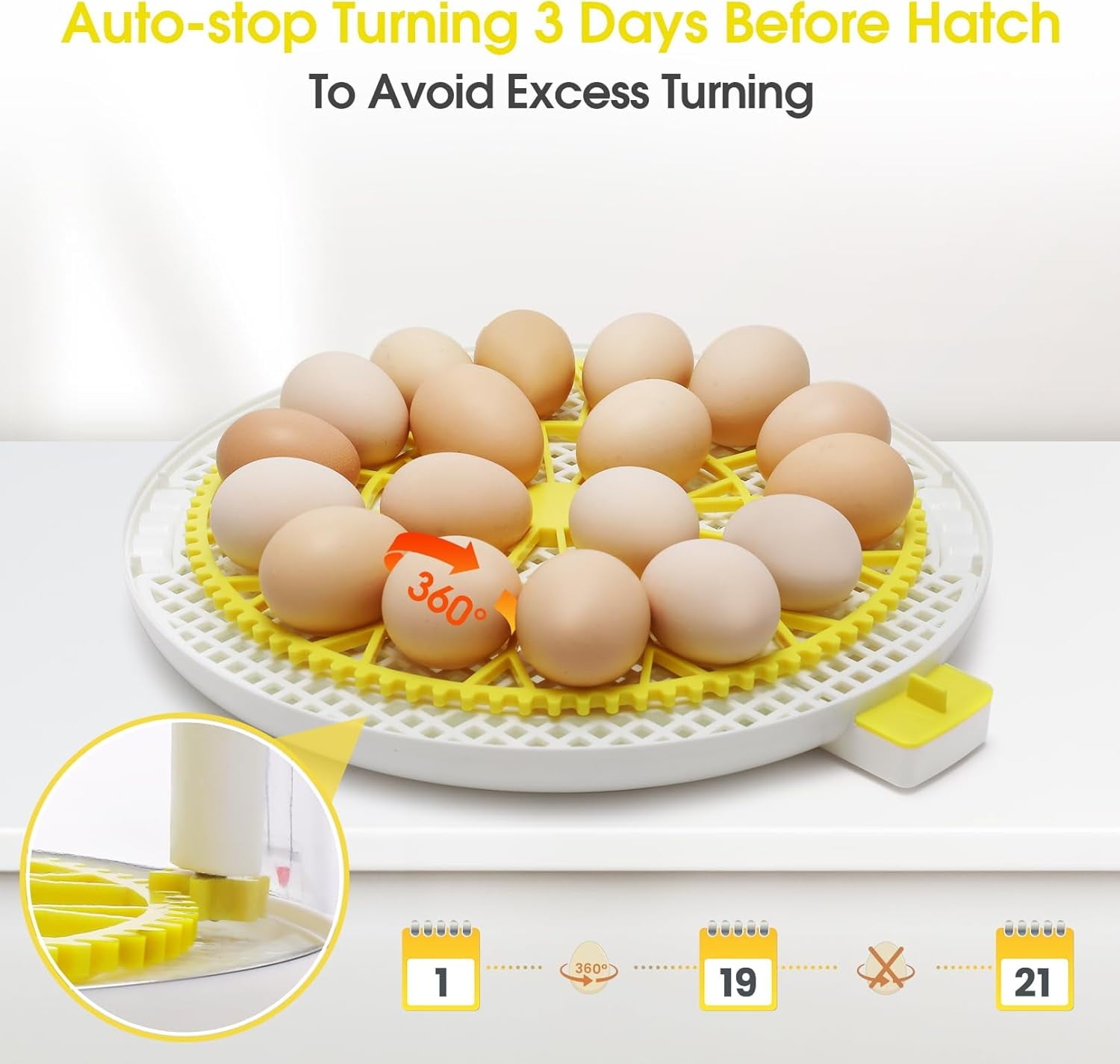 Adnoom Incubators for Hatching Eggs, 18 Egg Incubator with Automatic E