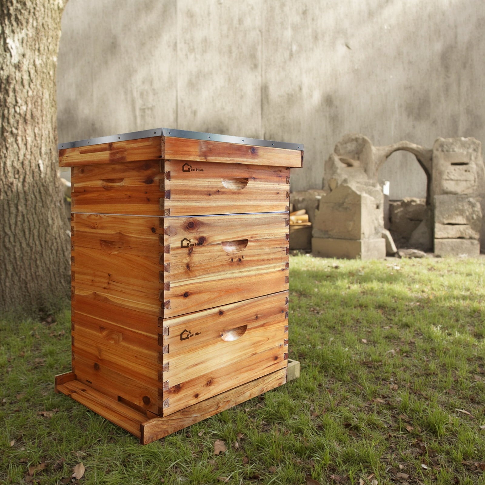 Ultimate Beekeeping Starter Kit with Cedar & Beeswax | Complete 10-Fra