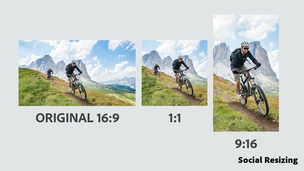 Adobe Premiere Elements 2026 - PC/Mac - Video Editing - 3-year term li