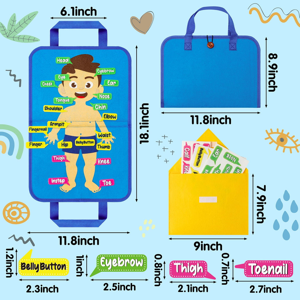 Belanttega Body Cognition Portable Felt Board Story Set Learn The Name