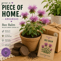Arkansas Bee Balm Grow Kit