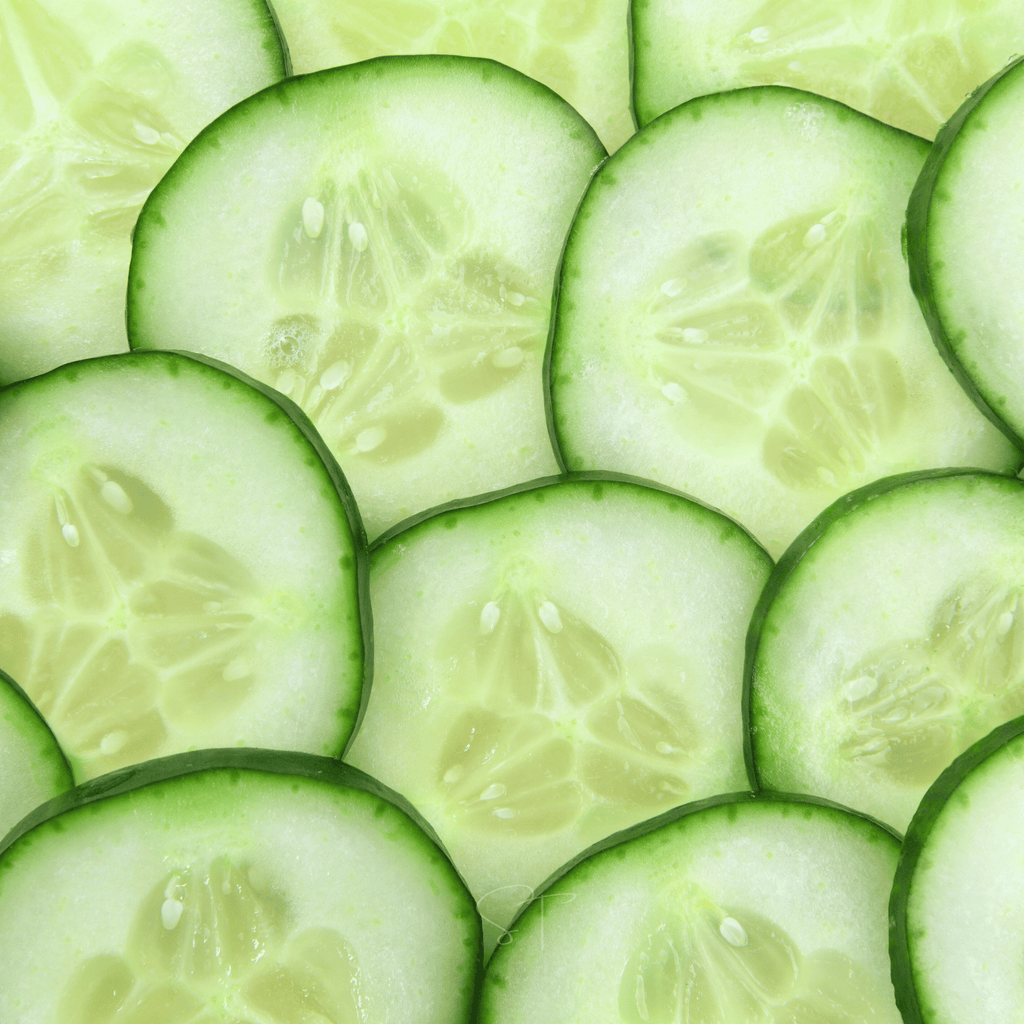 Ashley Cucumber – 30 Seeds