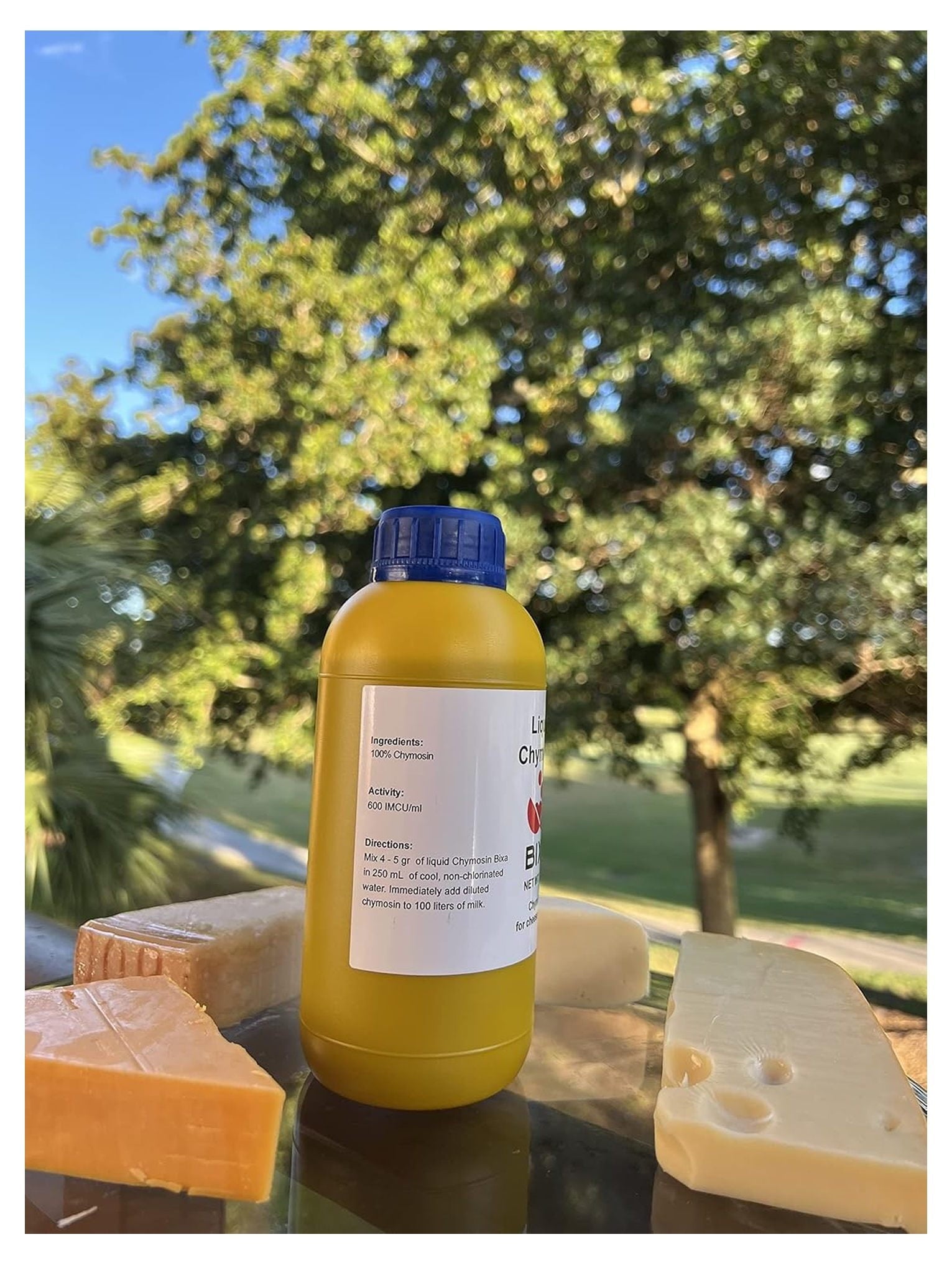 Bixa Liquid Chymosin Rennet for Cheese Making - 17 Fl oz