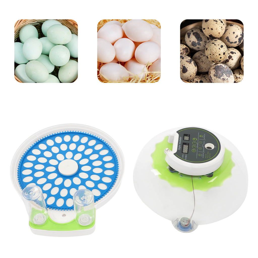 ToppiJoy 60 Quail Egg Incubator with LED Display & LED Light, 50-104°