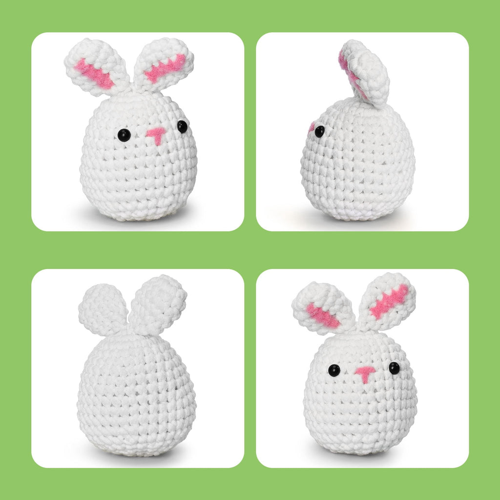 Zepiany Crochet Kit for Beginners, Crochet Animals Kit with Step-by-St