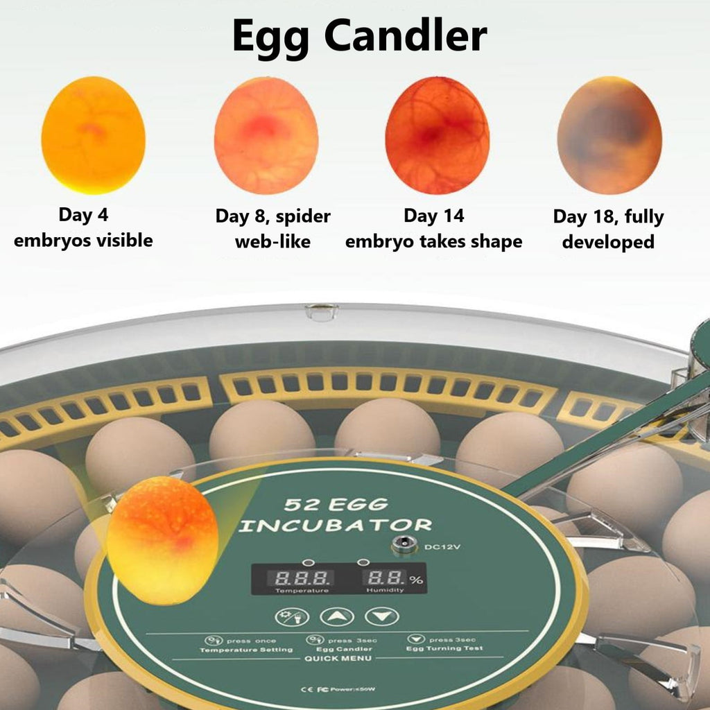 BN-LINK 52 Egg Incubator with Automatic Egg Turning and Temperature Co