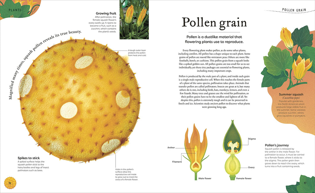 DK Treasures Nature's Treasures: Tales of More Than 100 Extraordinary