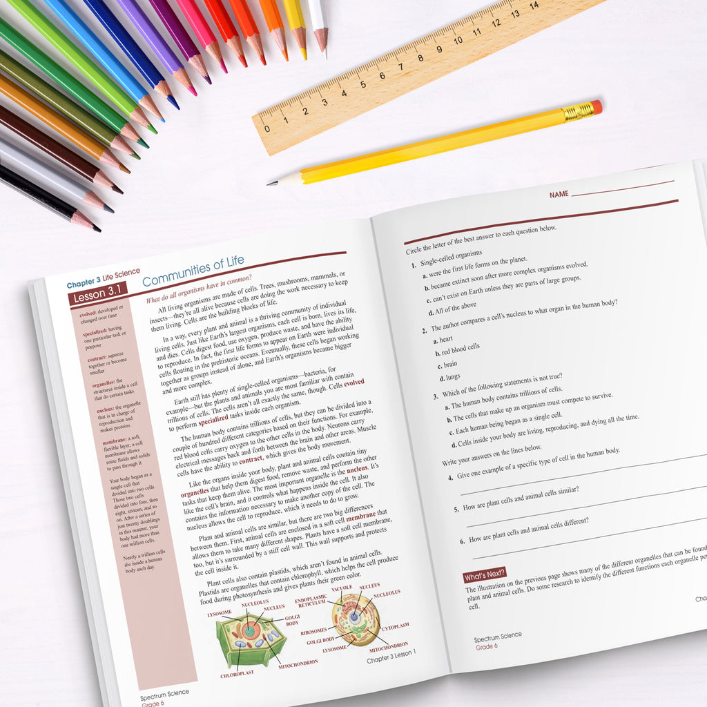 Spectrum Spectrum Science, Grade 6: Volume 58, (Paperback)