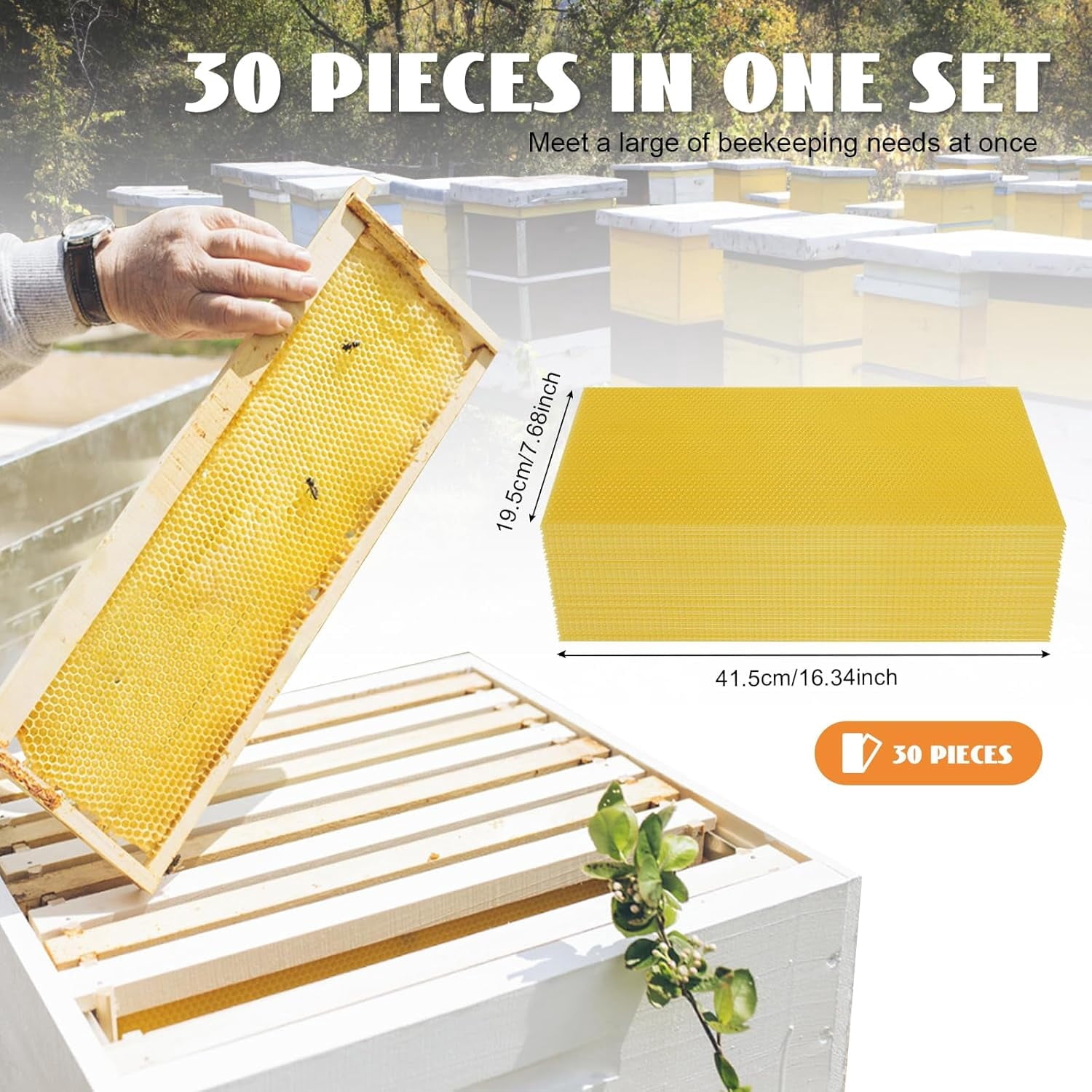 30 PCS Pure Beeswax Hive Frames, Beehive Bee Frames Waxed Foundation,