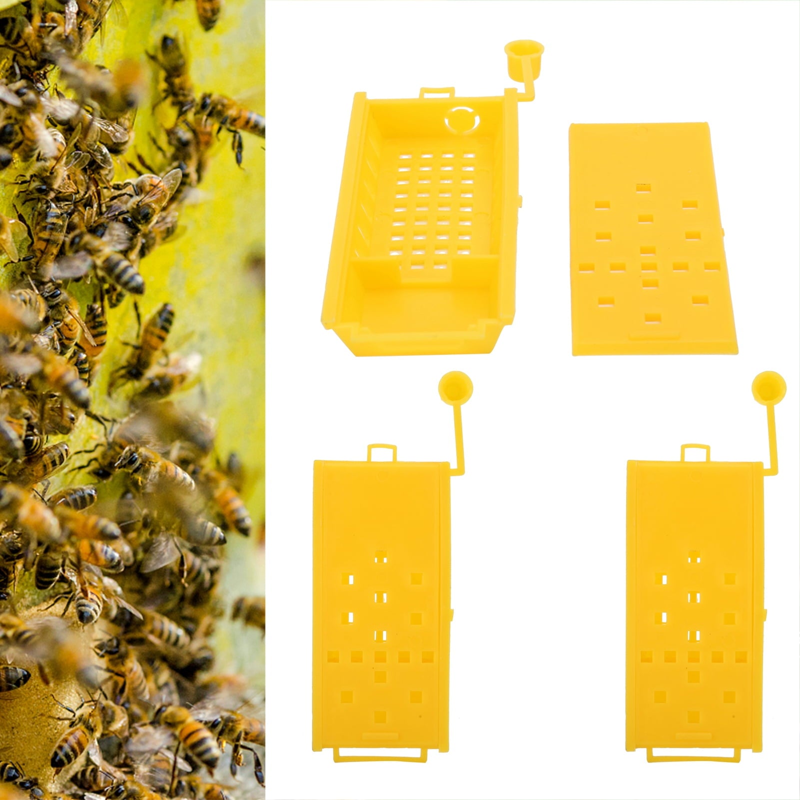 BOKYAN 20Pcs Queen Bee Cages, Yellow Plastic Beekeeping Transport Box