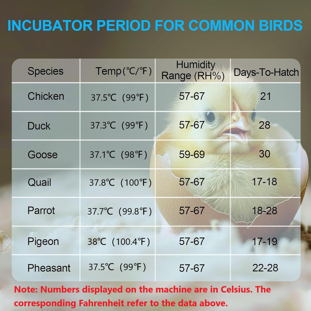 BN-LINK 52 Egg Incubator with Automatic Egg Turning and Temperature Co