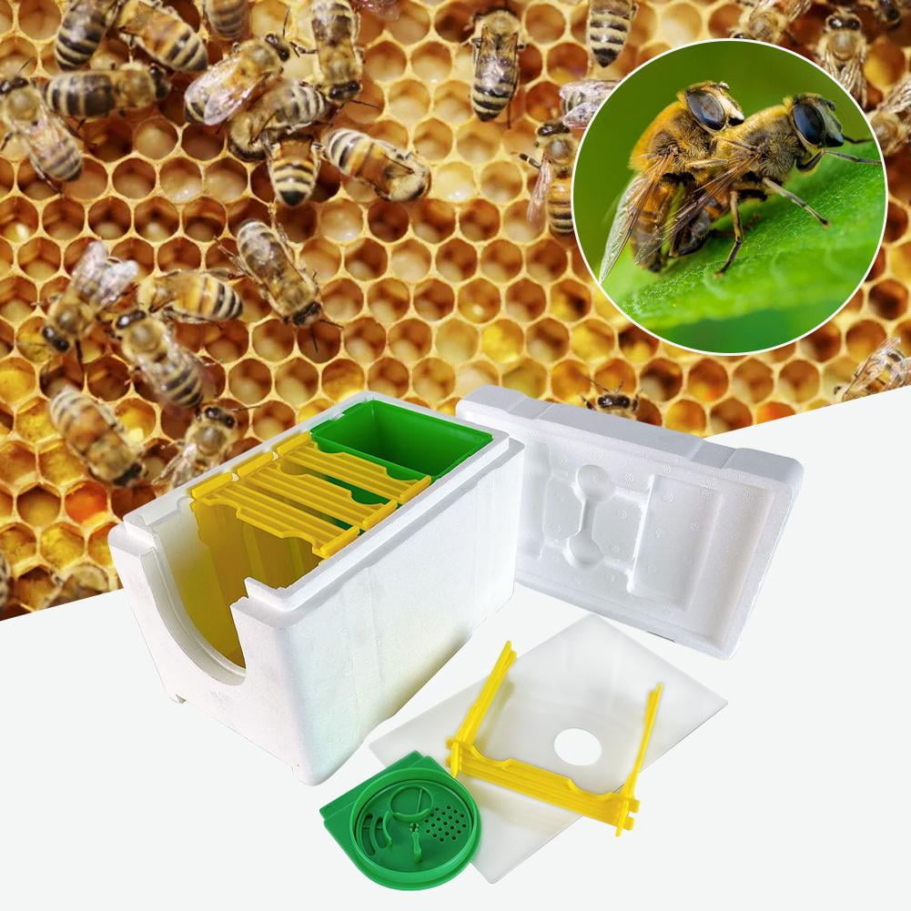 QHUDLV Mini Beehive Beekeeping Box Multi-Function Bee Hive Pollination