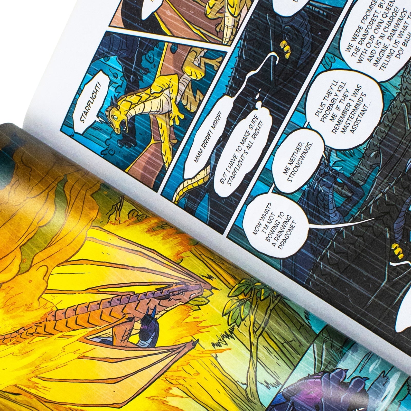 Wings of Fire: the Brightest Night: a Graphic Novel (Wings of Fire Gra