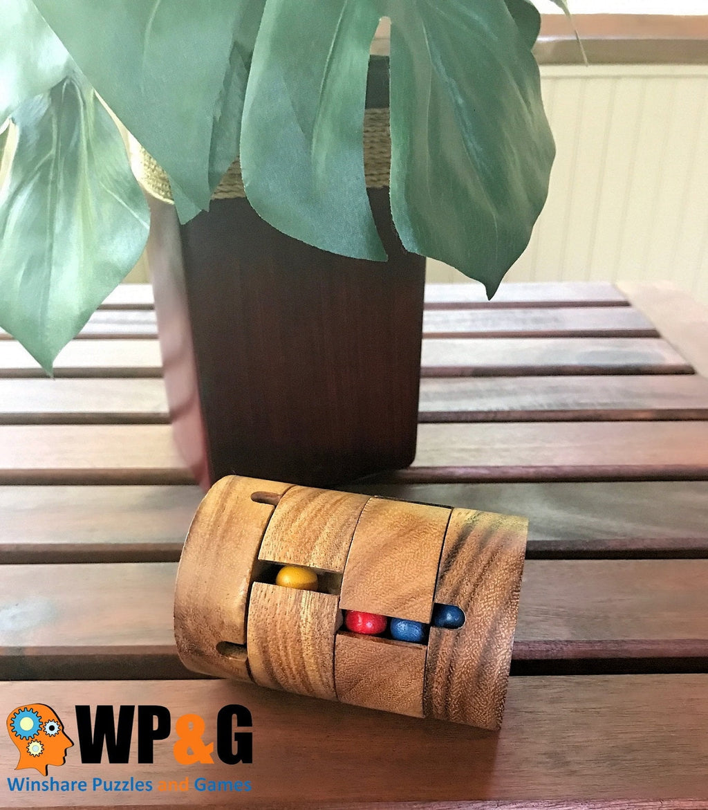 Spin To Win Cylinder Rotational IQ Cube Puzzle Wooden Spinning Sequent