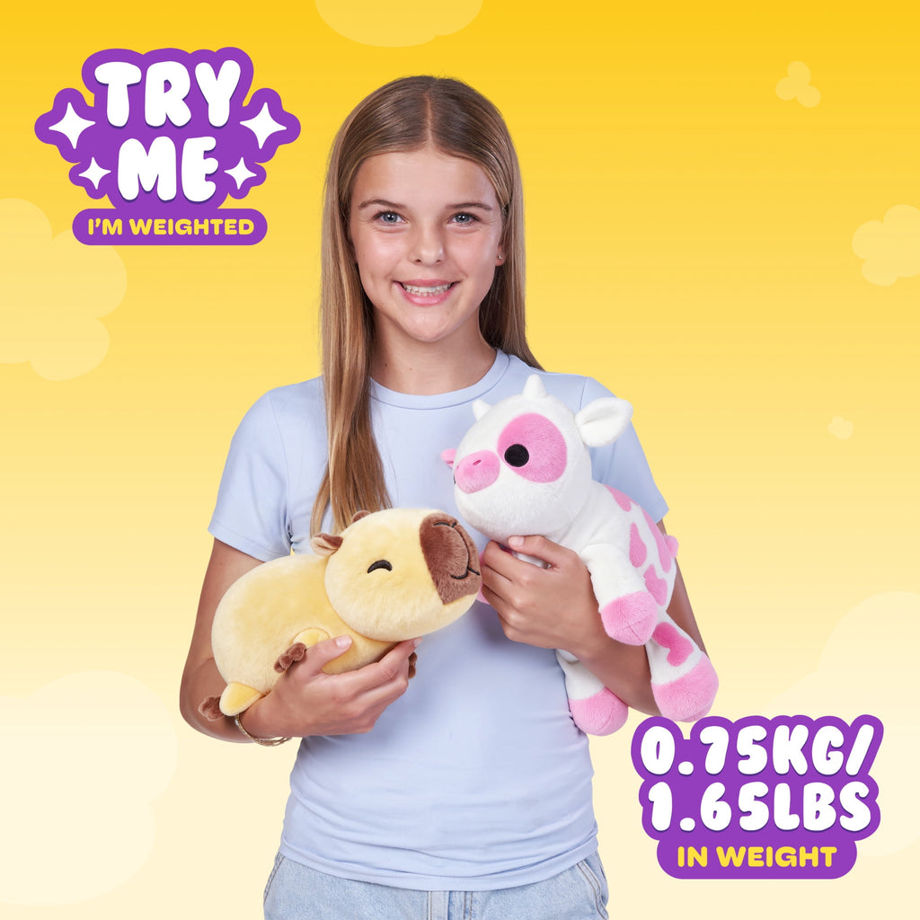 Hug a Lumps Ally the Axolotl by ZURU - Small 1.65lbs Cuddly Weighted P