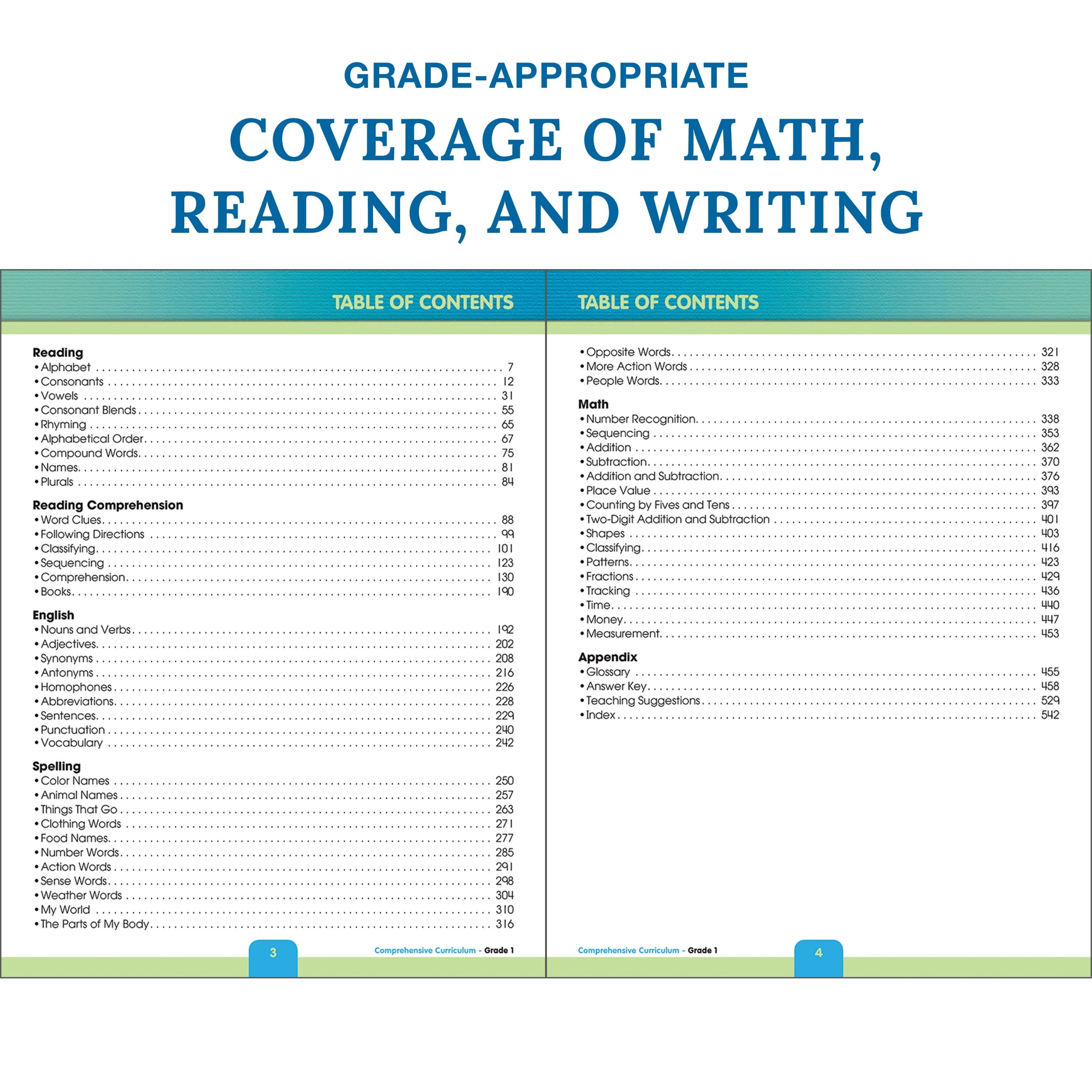 Thinking Kids Comprehensive Curriculum of Basic Skills Workbook (544)
