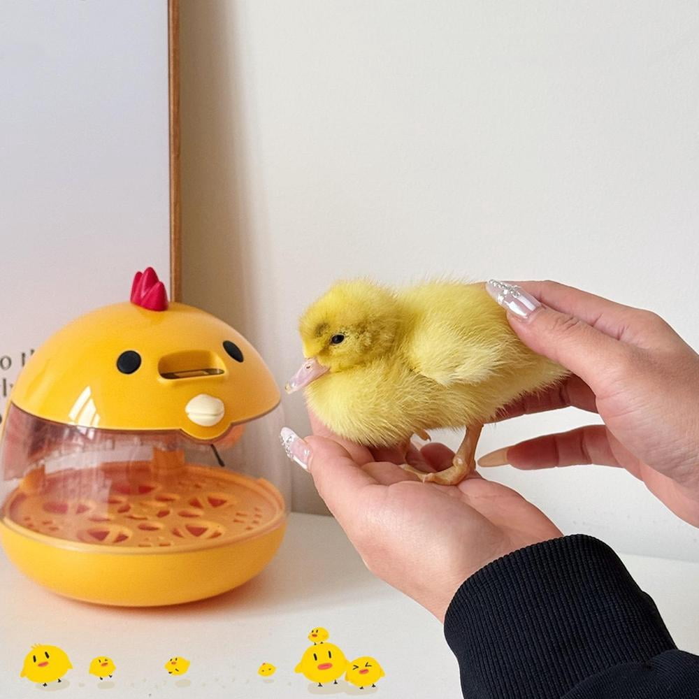 Egg Incubator for Hatching Eggs,Automatic Egg Incubator with Temperatu