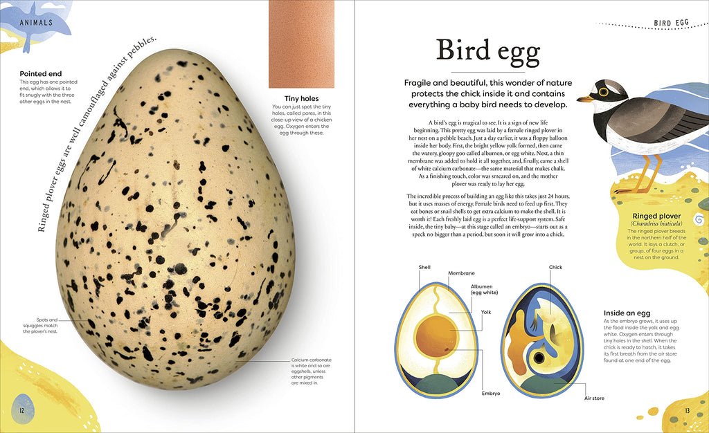 DK Treasures Nature's Treasures: Tales of More Than 100 Extraordinary