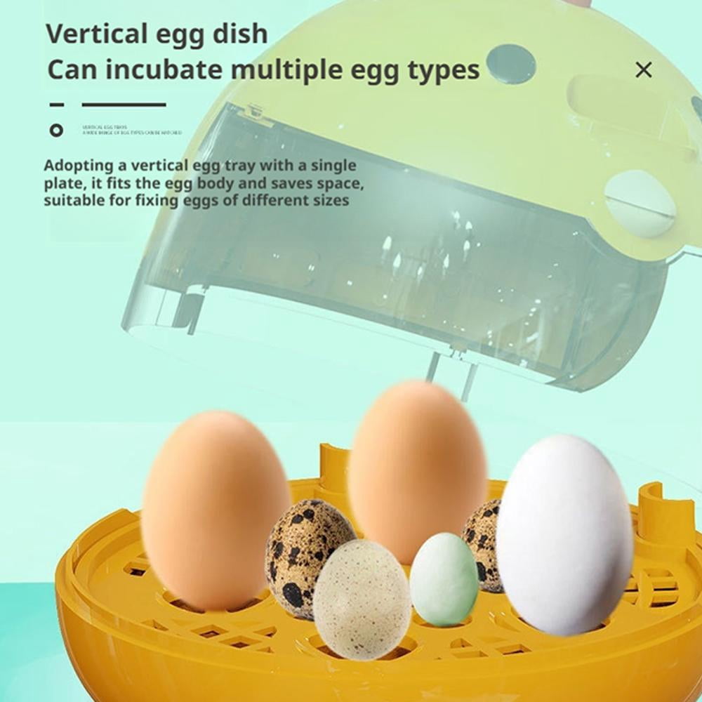 Egg Incubator for Hatching Eggs,Automatic Egg Incubator with Temperatu