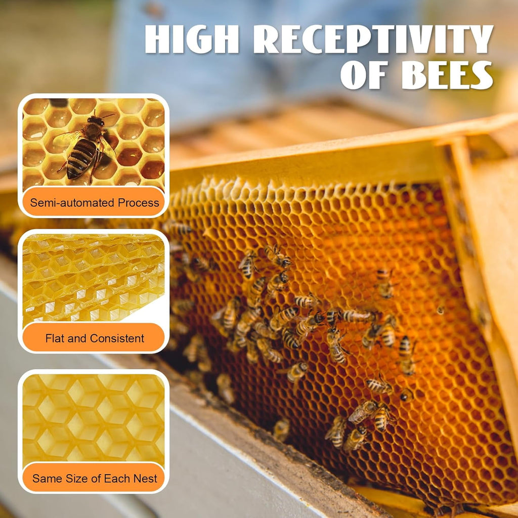 30 PCS Pure Beeswax Hive Frames, Beehive Bee Frames Waxed Foundation,