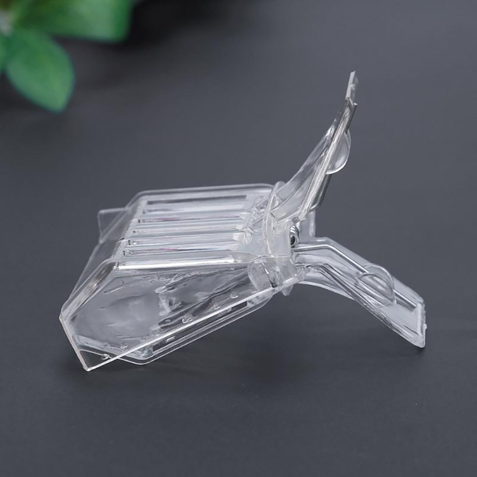 Catcher Cage Beekeeping Tool for Outdoor Indoor Use Book Design Beekee