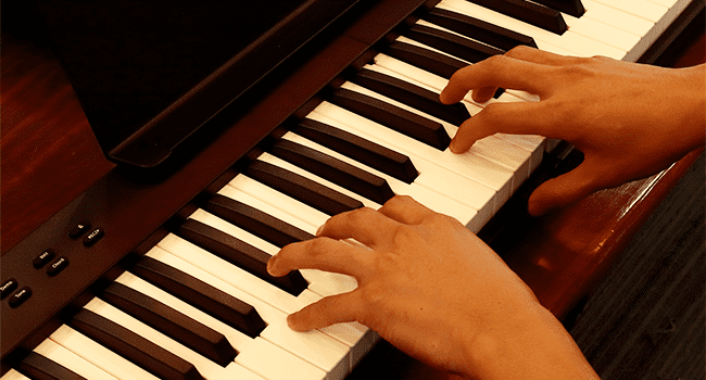 88-Key Foldable Digital Piano Keyboard with Portable Carrying Bag –