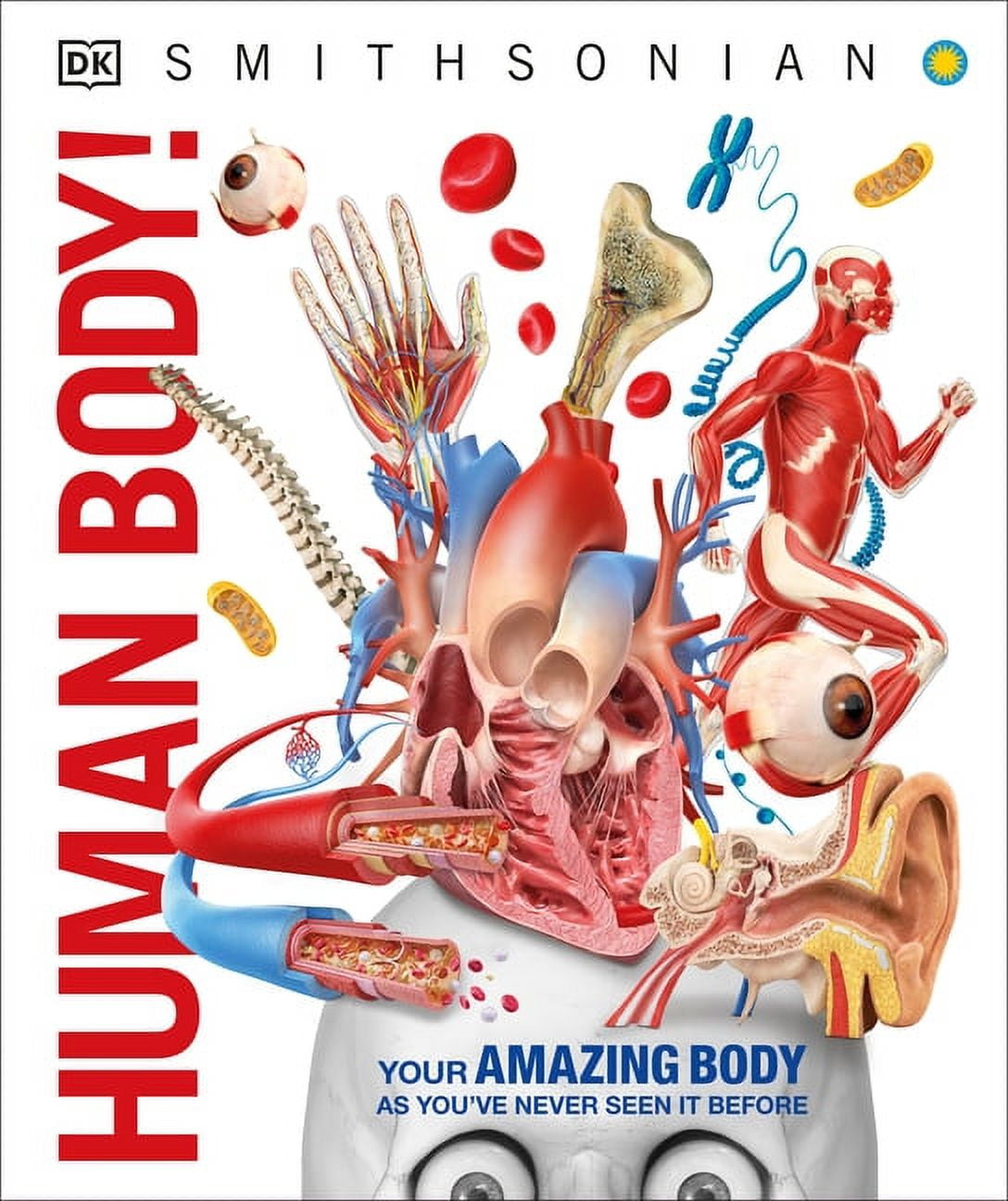 DK Knowledge Encyclopedias Knowledge Encyclopedia Human Body!: Human A