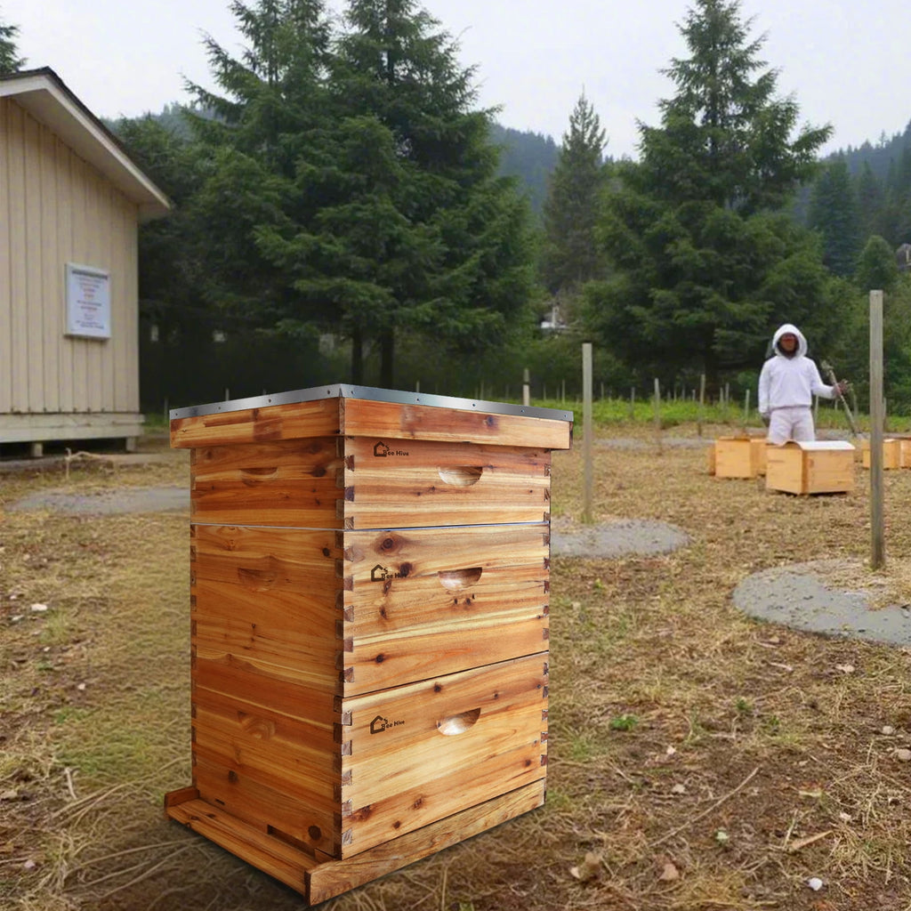 Ultimate Beekeeping Starter Kit with Cedar & Beeswax | Complete 10-Fra