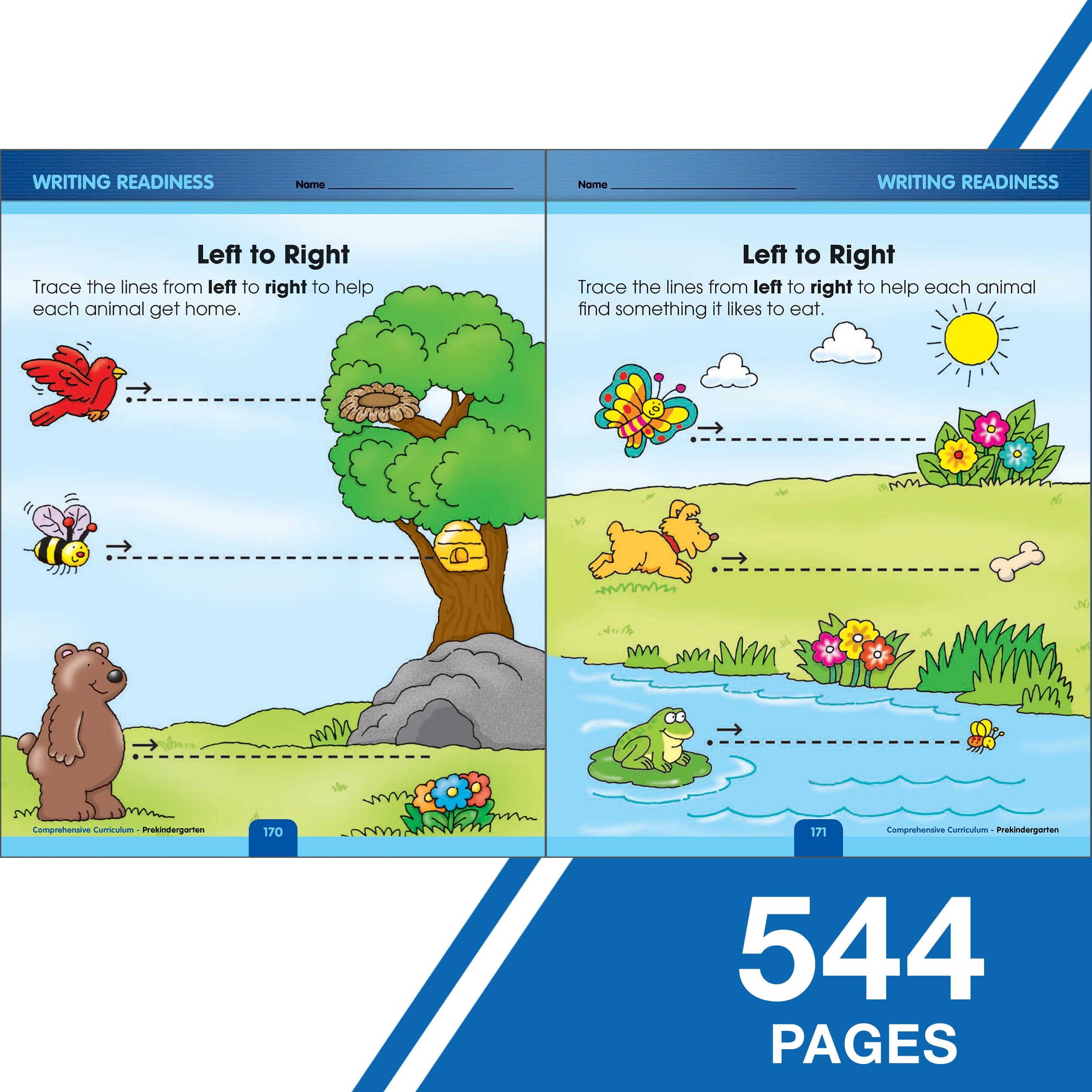 Thinking Kids Comprehensive Curriculum of Basic Skills Workbook (544)