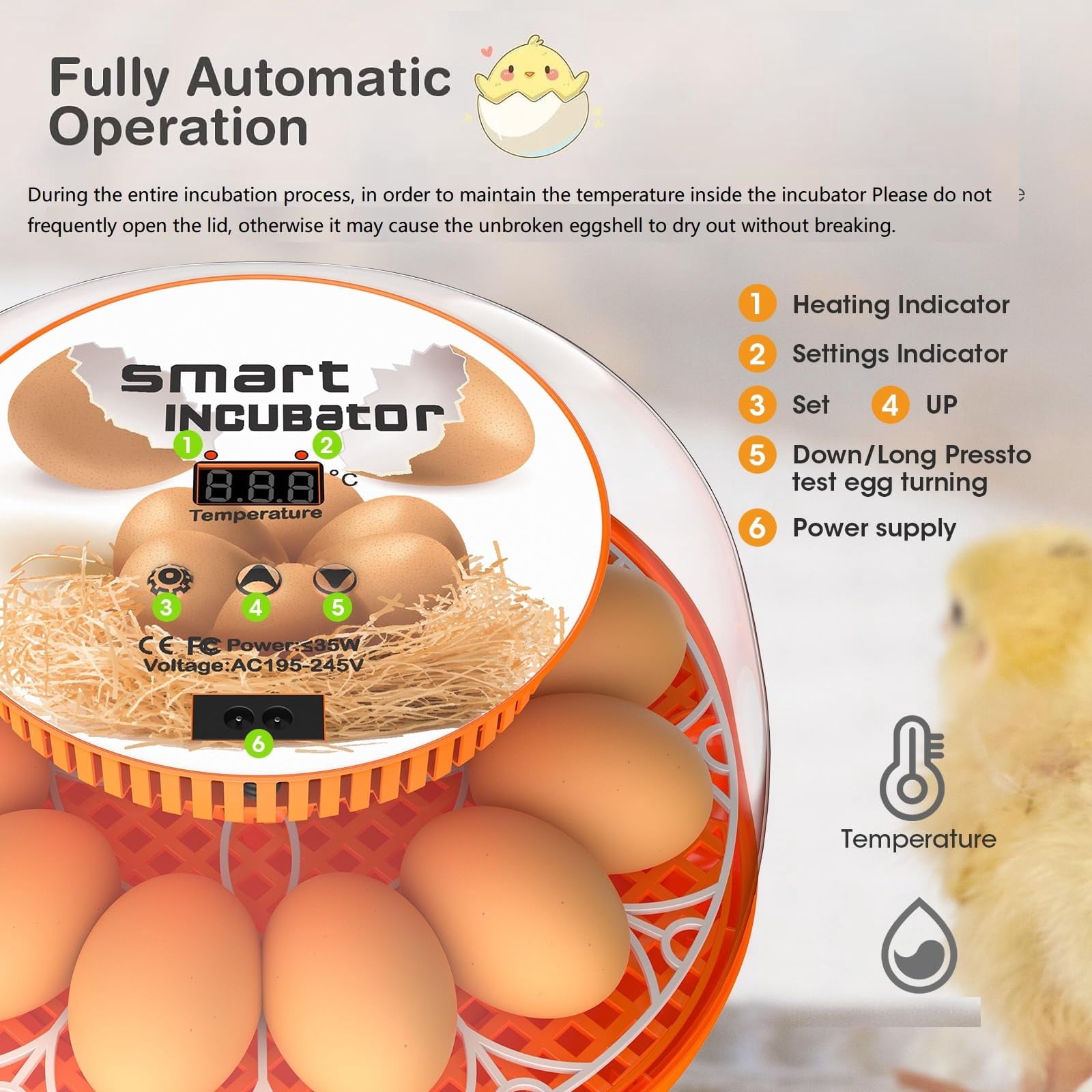 12 Egg Incubator with Automatic Egg Turning and Temperature Control, A