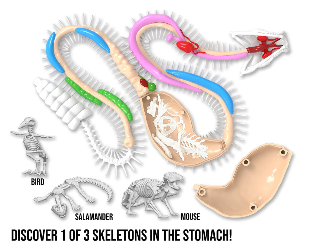 Dissect It Rattlesnake Superlab Dissection Kit for Kids, Realistic Ana